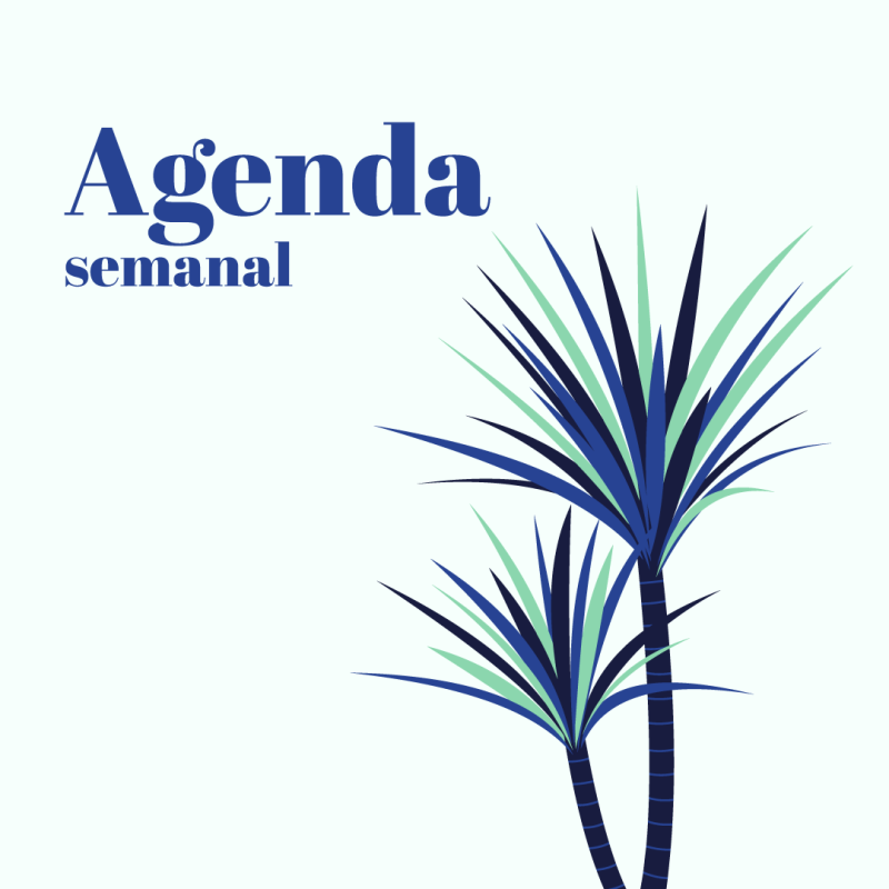 Agenda anual dividida en semanas